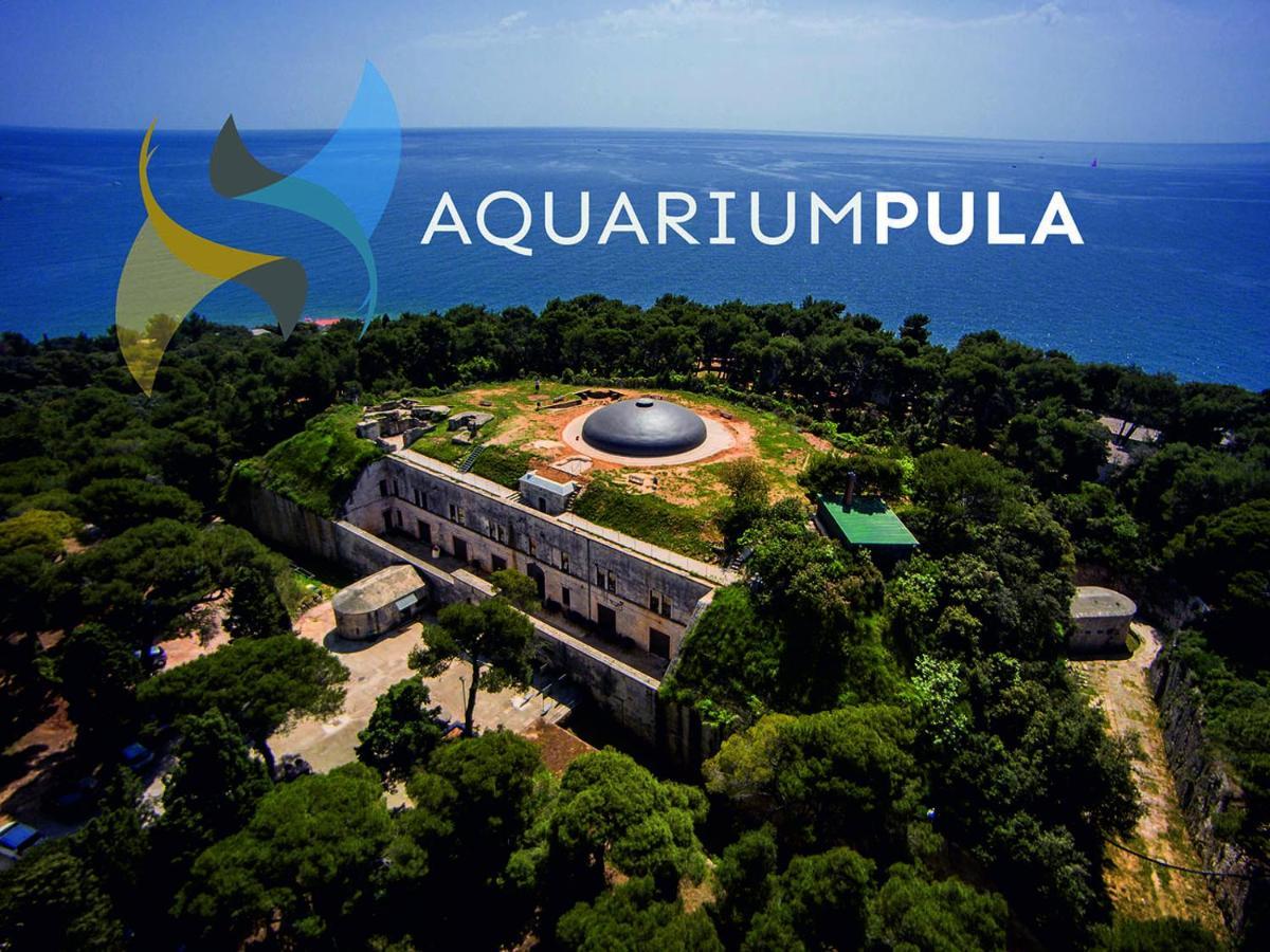 Arena Sunset, Sea Coloseum View, 2 Rooms Free Parking PUY 외부 사진